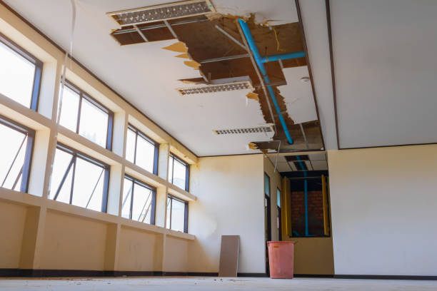 Best Residential water damage restoration  in Dansville, NY