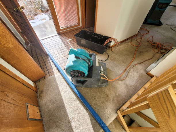 Best Water damage restoration near me  in Dansville, NY