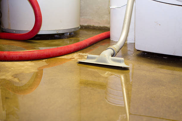 Best Water damage restoration process  in Dansville, NY