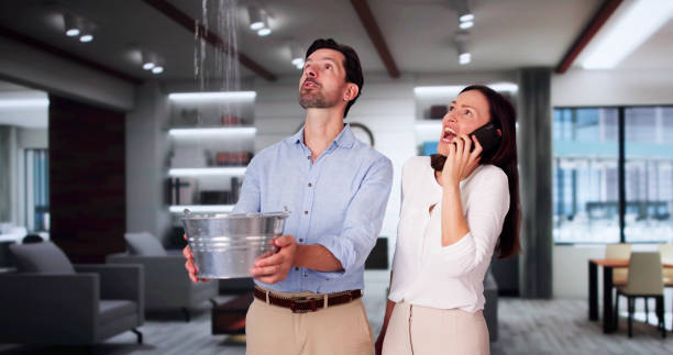 Best Carpet water damage restoration  in Dansville, NY
